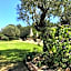 Clos des Vignes Pampelonne Vineyard