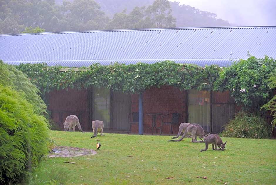 Kookaburra Motor Lodge