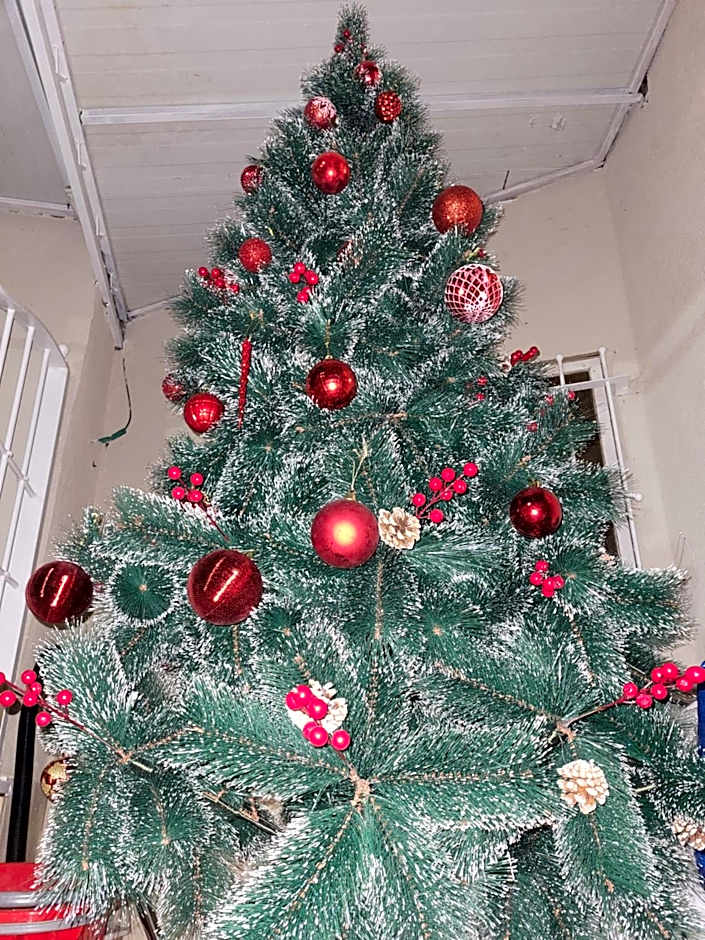 Maya Guest House - German Colony & Baháí Gardens, Haifa