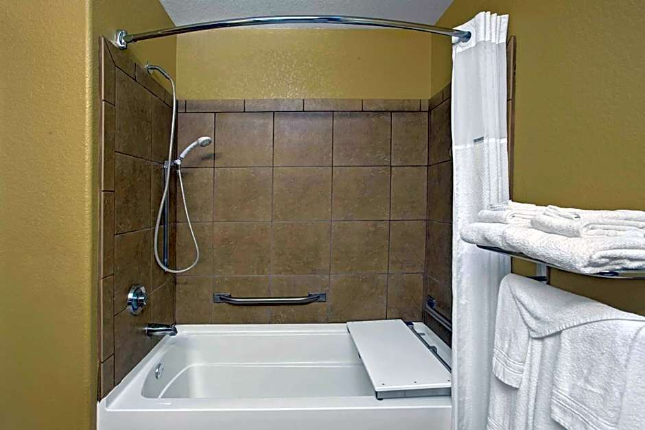 Microtel Inn & Suites by Wyndham Cartersville