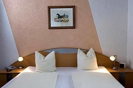 Double or Twin Room Standard