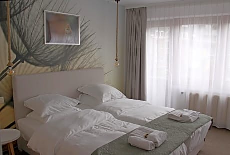Deluxe Double or Twin Room with City View