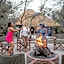 Ivory Tree Game Lodge