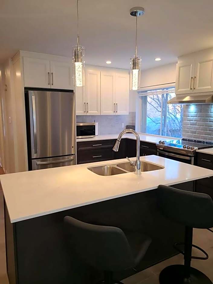 Spacious 3BR Retreat in Vibrant Montreal, Parks, Dining & Culture