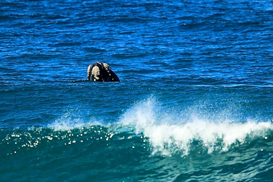 Lakeside Cabins & Holiday Village