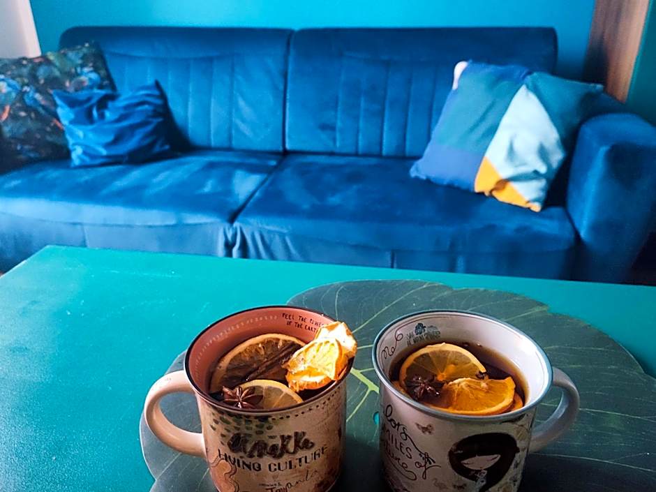 Lawendowo- sauna, jacuzzi, domki w ogrodzie i apartamenty w kamienicy