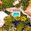 Azulea Bacalar Hotel & Spa - Lagoon Front