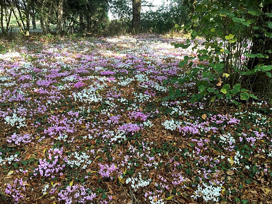 Château de Praslins
