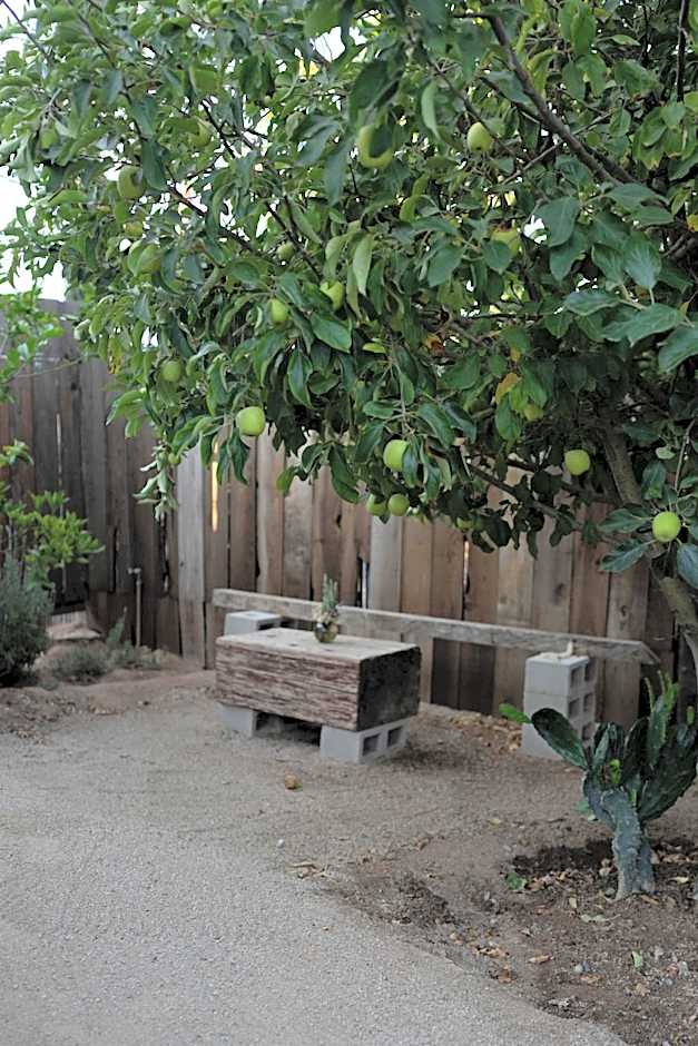 Casa Michaus Valle de Guadalupe