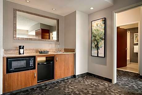 One-Bedroom King Suite with Sofa Bed
