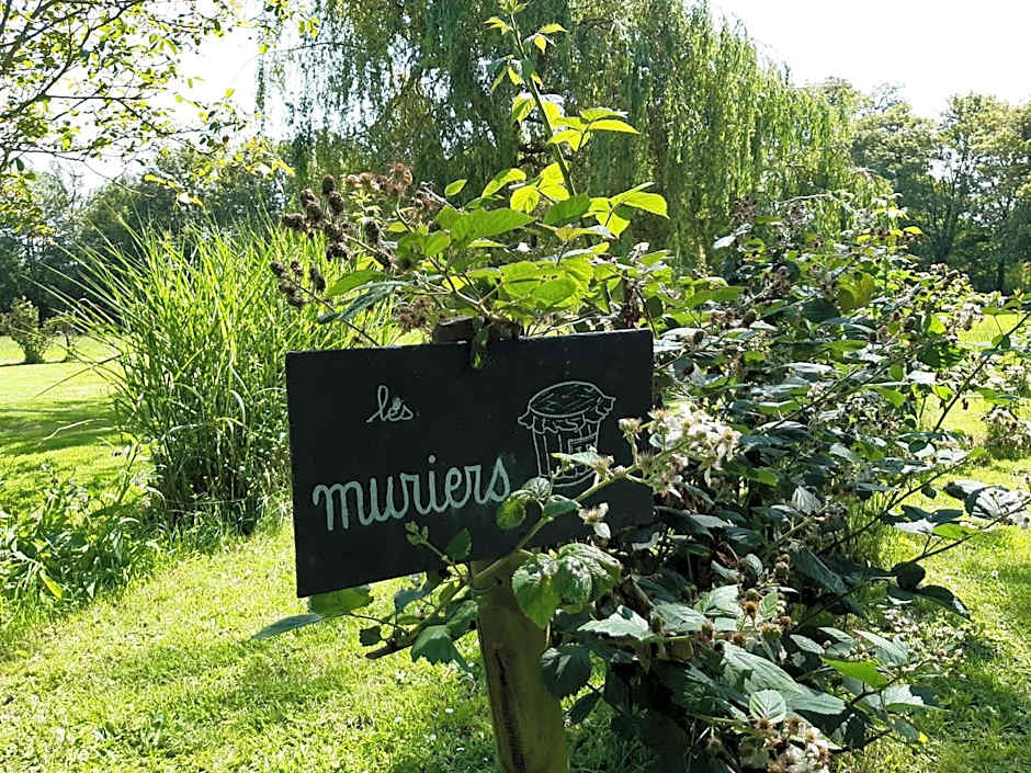 Château Saint Gilles - Bayeux