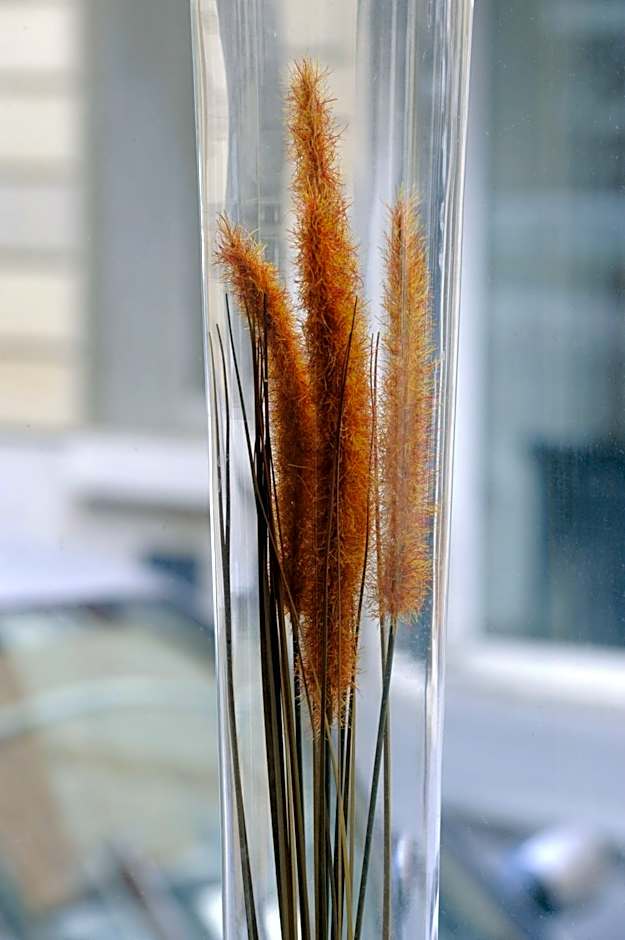 Auriane Porte De Versailles