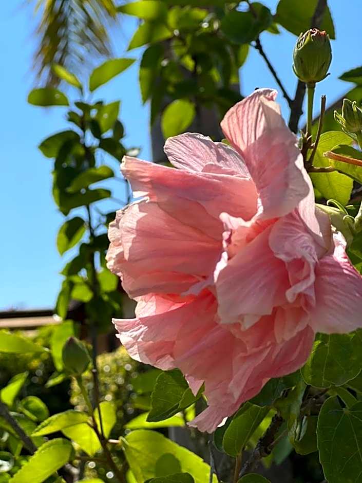 B&B Casale Pietrantica Tropea