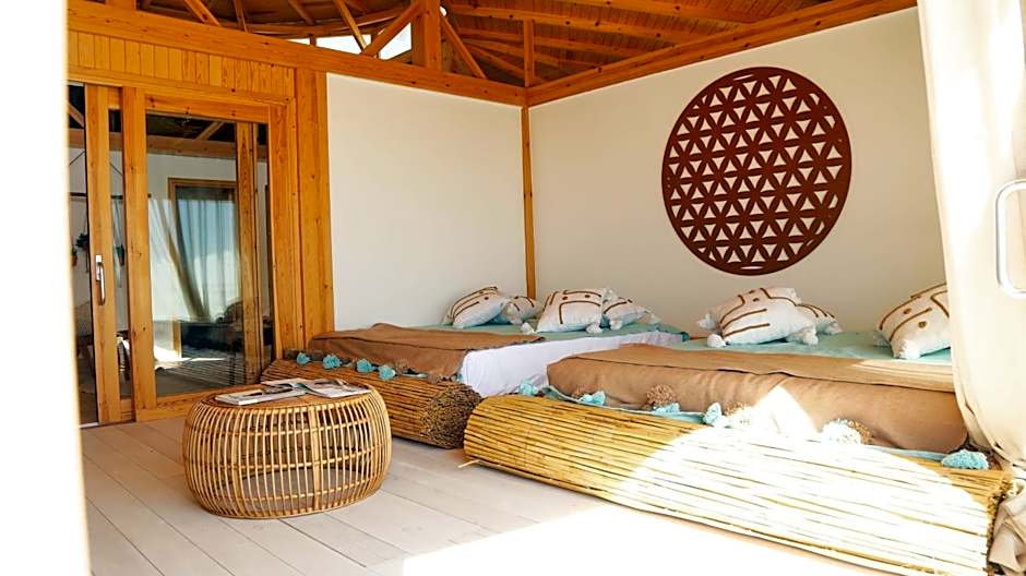 Océan Vagabond Lassarga