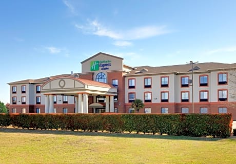 Holiday Inn Express Hotel & Suites Burleson - Fort Worth, an IHG Hotel