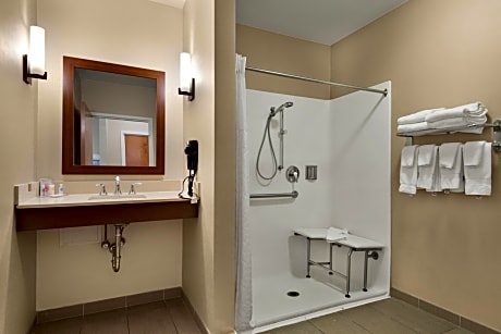 Efficiency One Room Suite with Roll-In Shower - Disability Access/Non Smoking