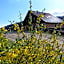 Domaine Des Hauts Viaux