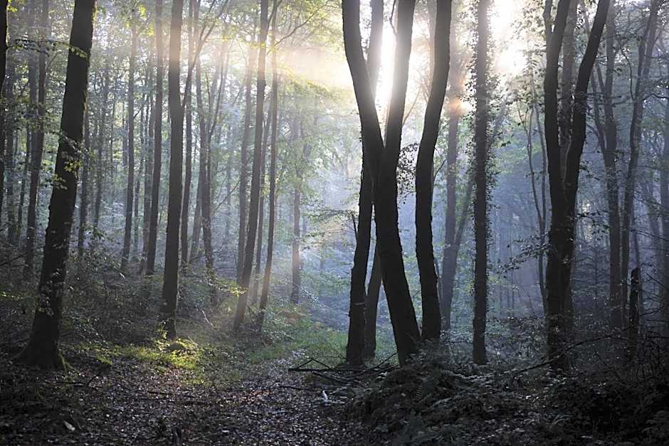 La Colline des Renards Chambres