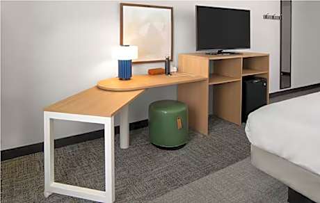 1 King Mobility Accessible Roll In Shower