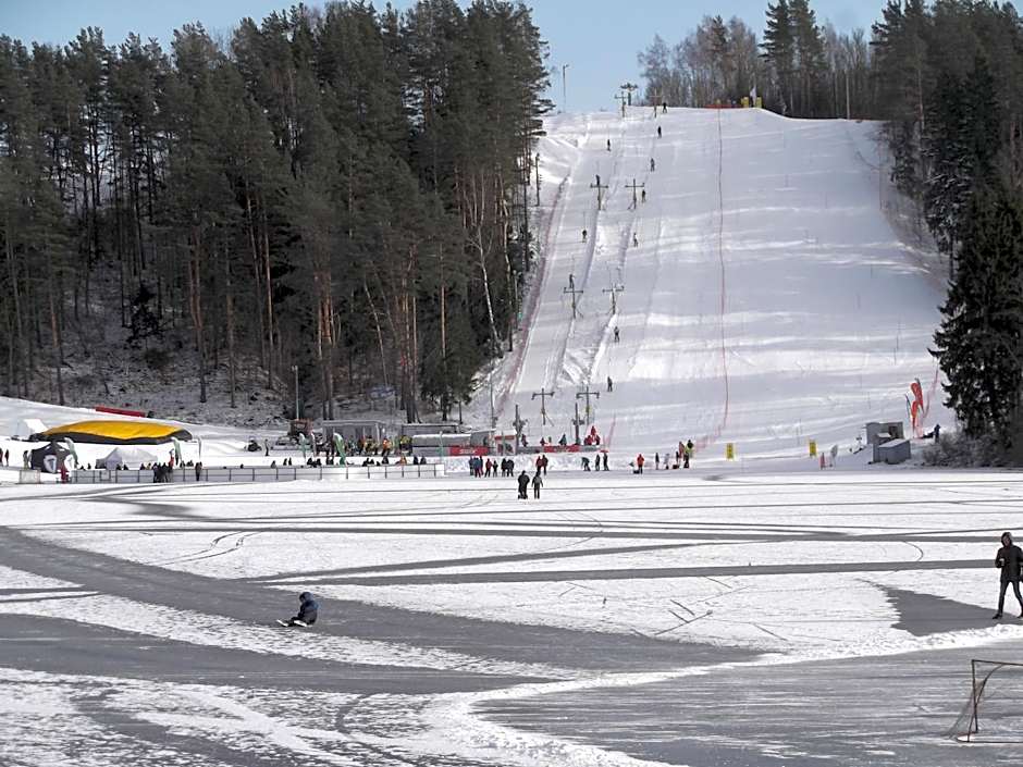 Svečių namai ALDAIVITA