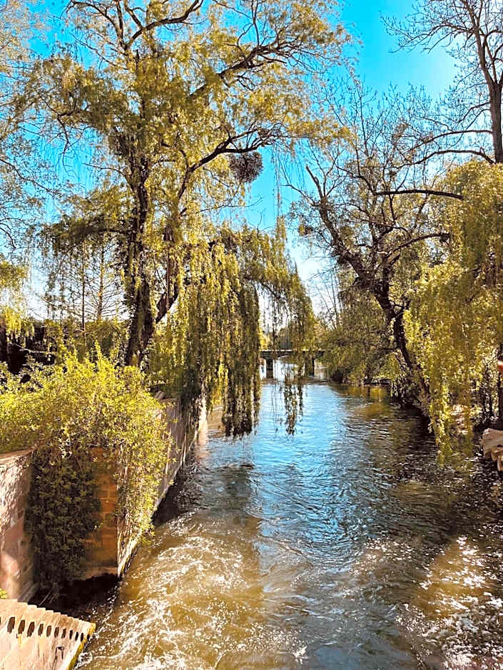 Le Moulin De La Wantzenau - Strasbourg Nord