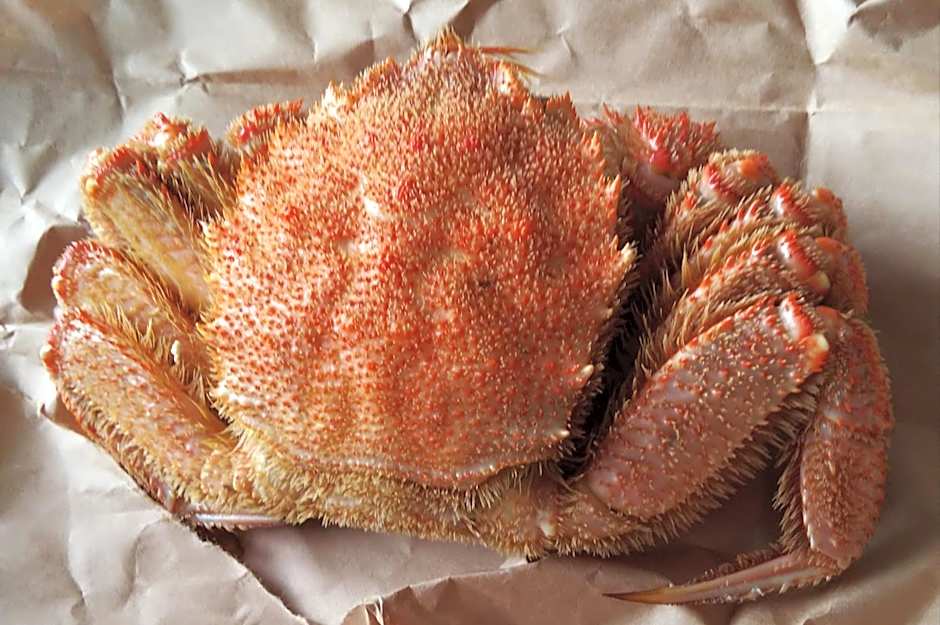 Minshuku Kaikazari Kunnui