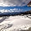 Pension Mon Lupo - Vacation STAY 48497v