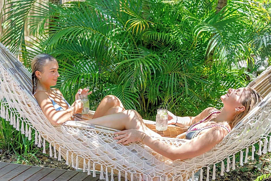 Bounce Magnetic Island and Koala Park