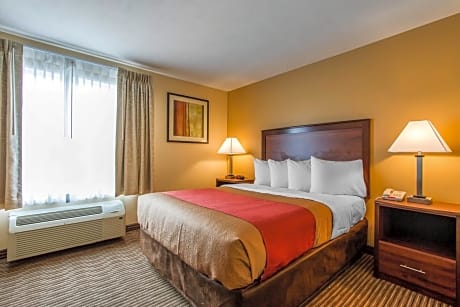 One-Bedroom Queen Suite with Sofa Bed - Non-Smoking