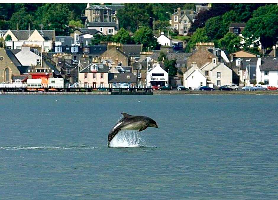 Best Western Woodlands Hotel