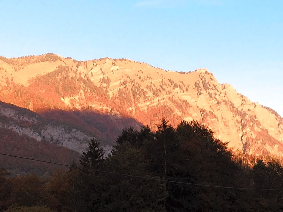 Chalet aux 3 biches
