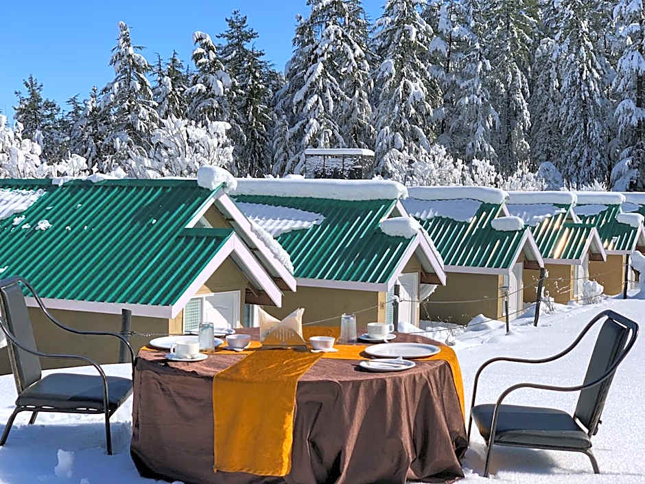 Mashobra Greens Shimla