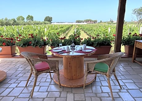 B & B Vigna Di Filippo - Paestum