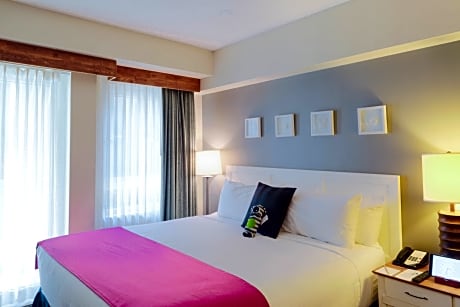 Deluxe Studio Suite 1 Queen Bed and Sofa Bed