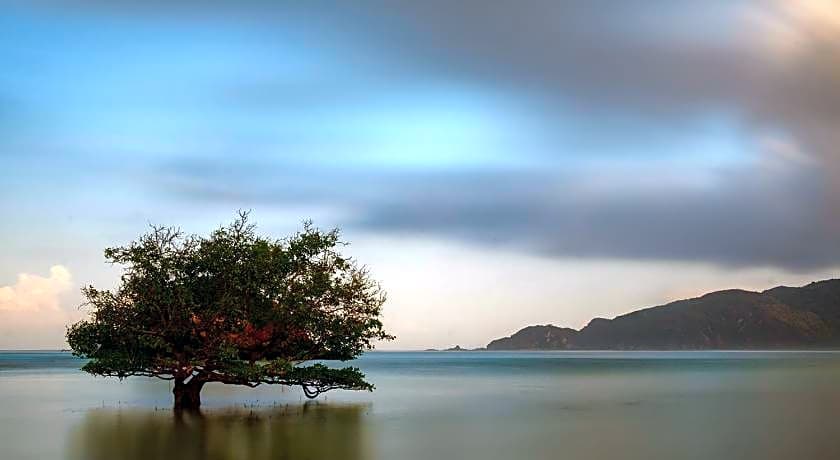 Segara Anak Bungalow & Restaurant