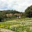 Les Garrigues de la Vallée des Baux