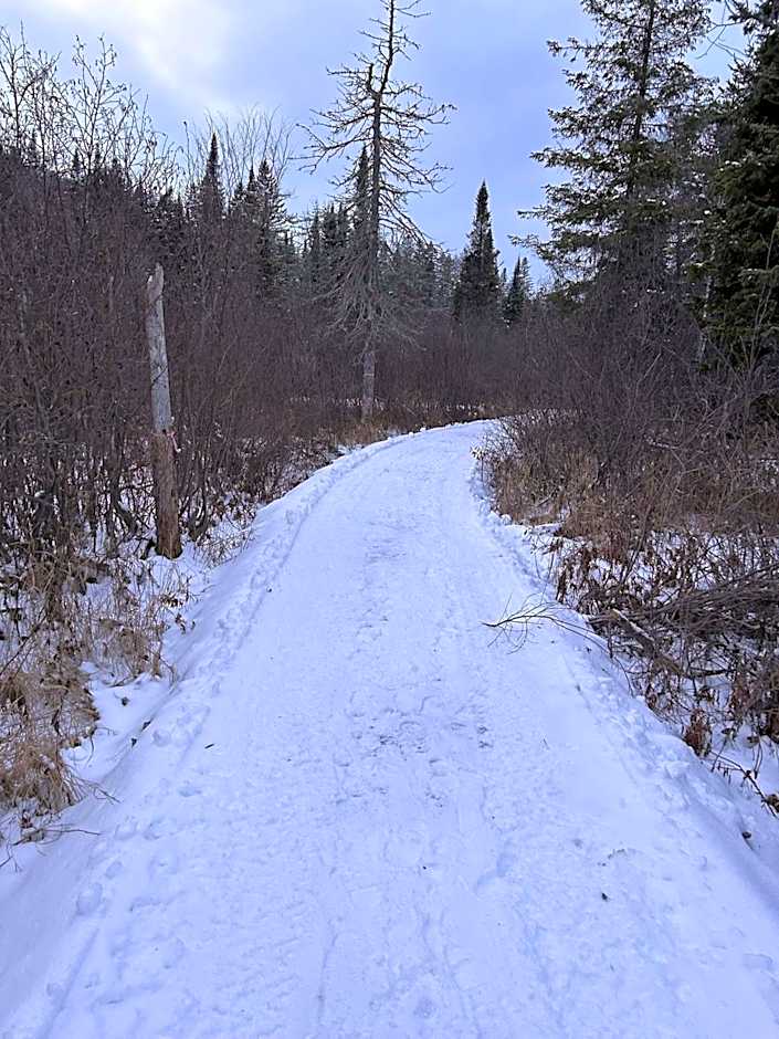 Chalet Éloise à louer avec spa Mauricie
