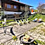 Goldiger Hirsch Pension mit Gemeinschaftsküche