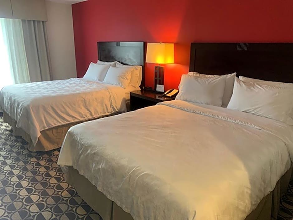 Holiday Inn Saint Louis-Fairview Heights