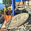 Casa de la Aduana Hotel Boutique