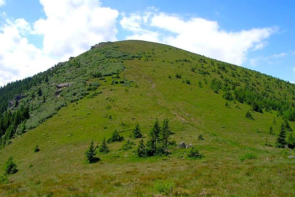 LiebesNesterl Bergwirt - Boutique Hotel