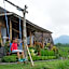 Padi Bali Jatiluwih