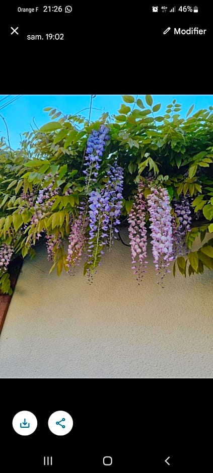 Les Glycines de Monchy- Chambres d'hôtes