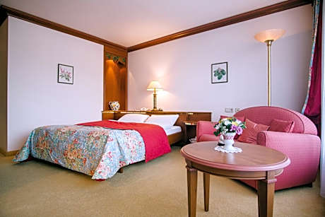 Double Room with Mountain View