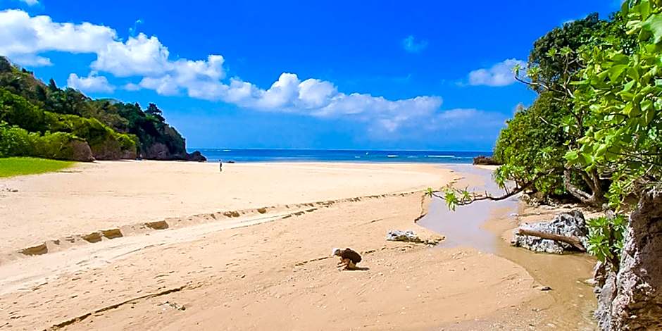 AsobiBASE Yamabare-House