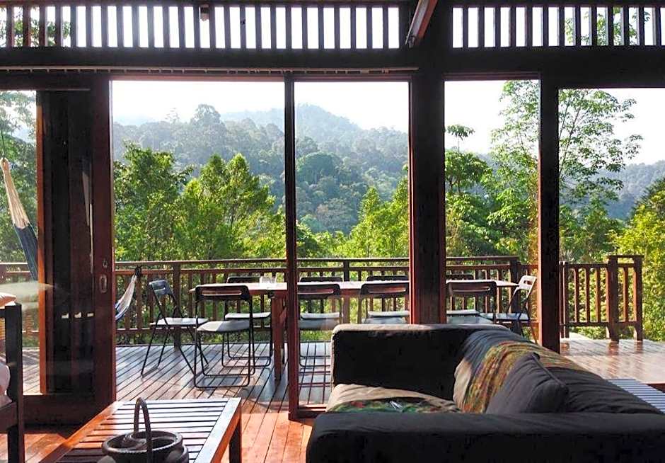 The Shorea
