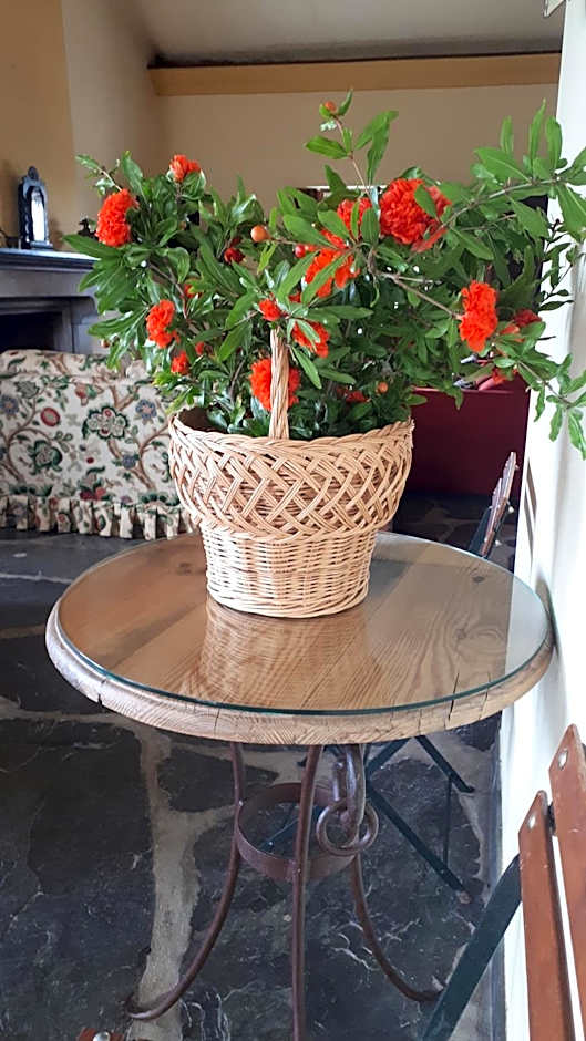 Monte da Floresta B&B