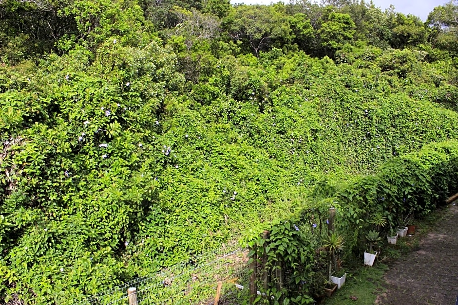 Pousada Casa Da Lagoa