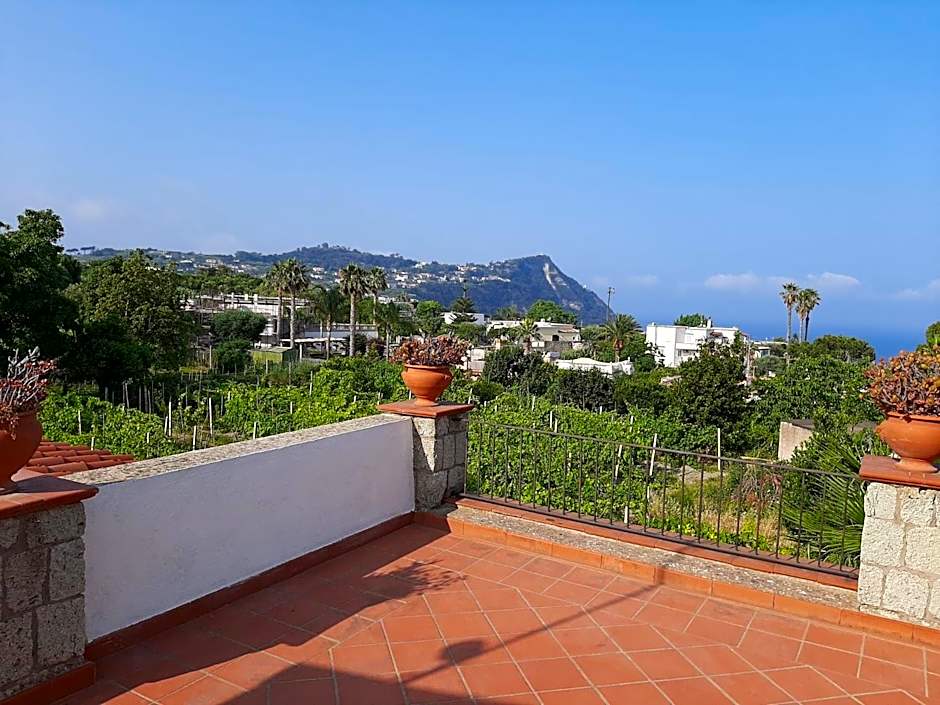 Il Vitigno di Dioniso