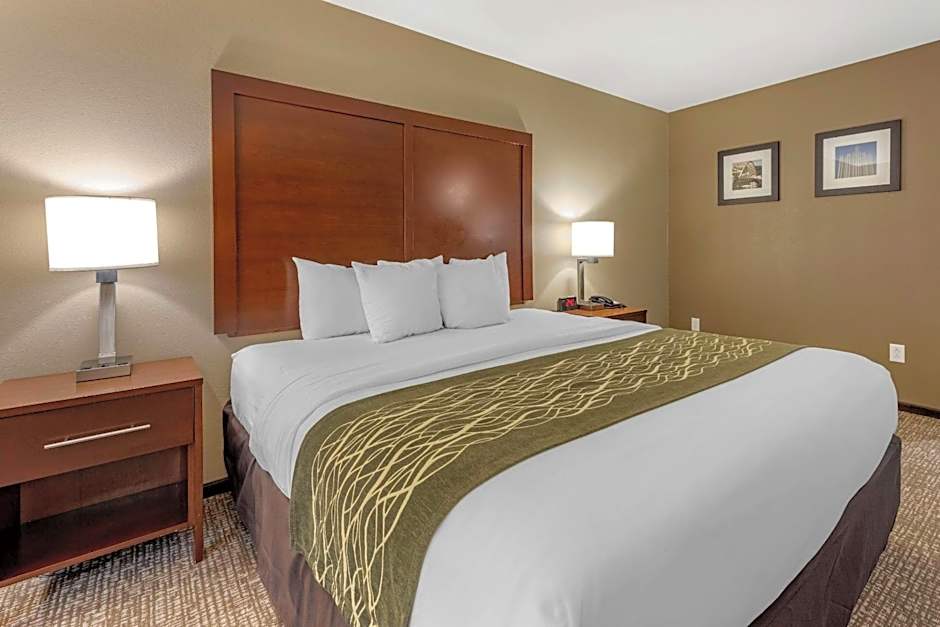 Comfort Inn & Suites Pittsburgh